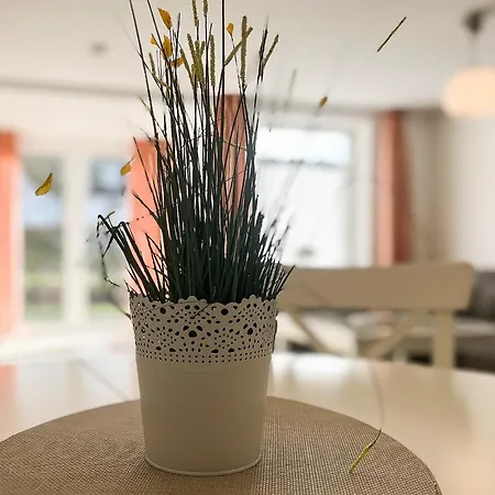 Sünnslag 088 Apartment